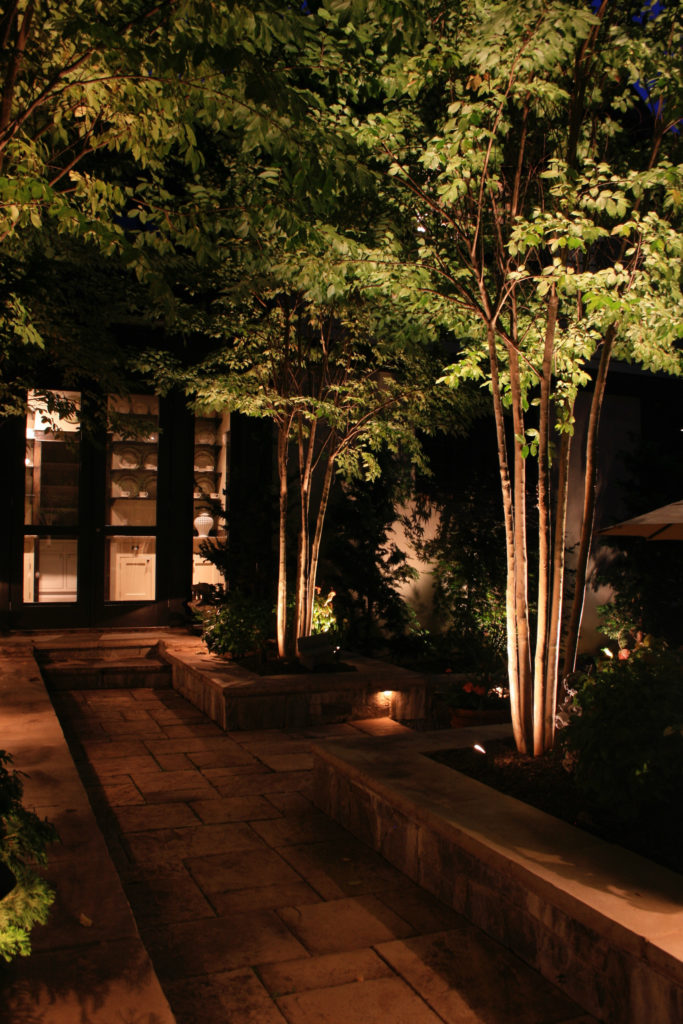 lights on trees near walkway