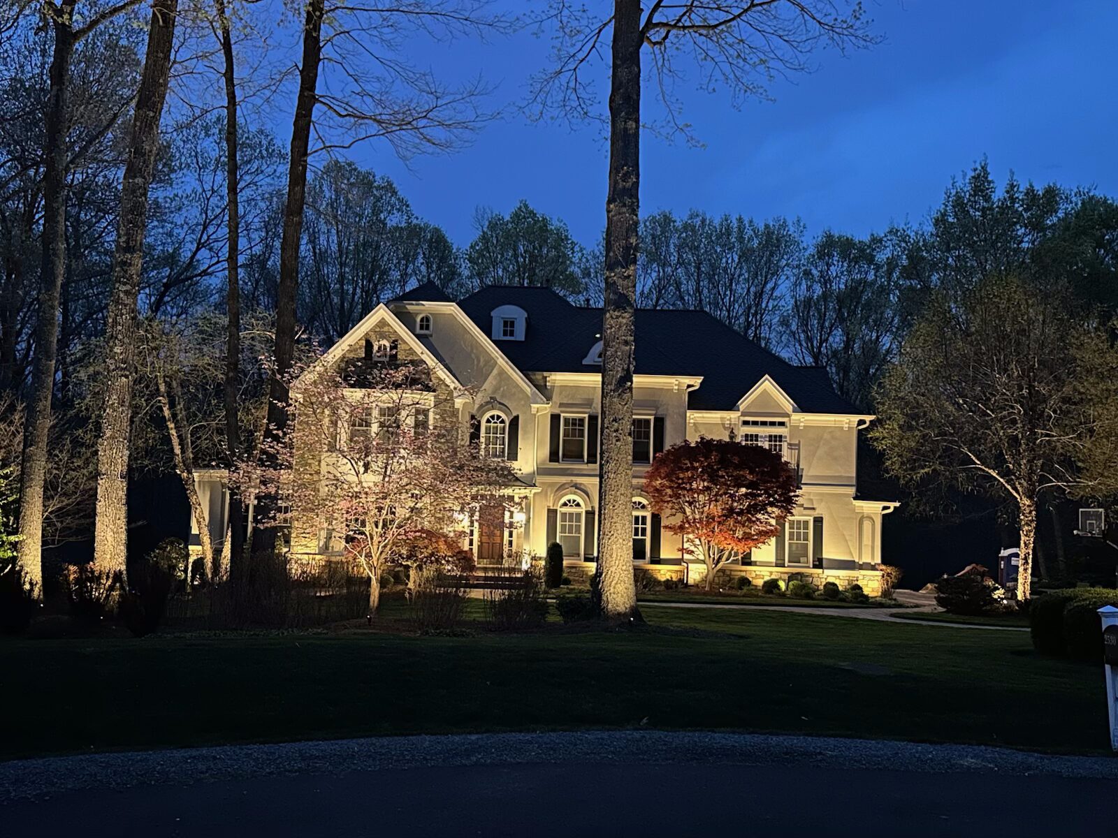 Nupen Lighting showing illuminated house and large tree