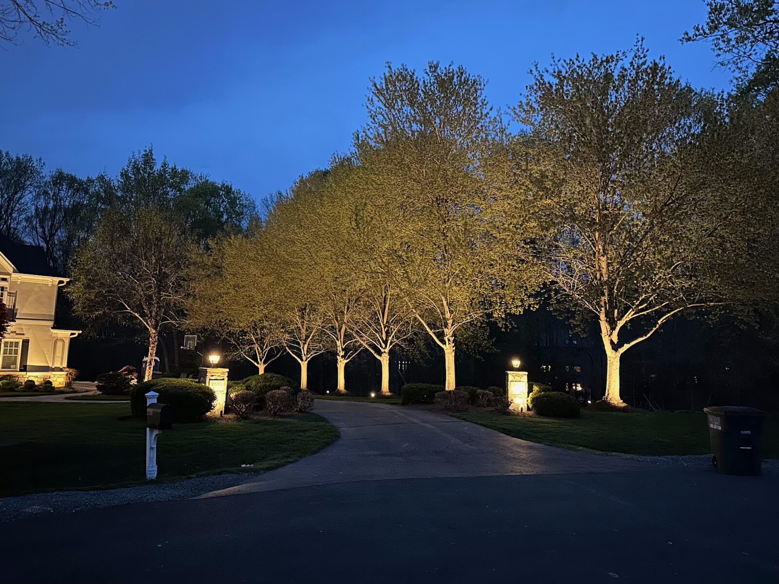 Nupen Lighting showing illuminated trees near driveway