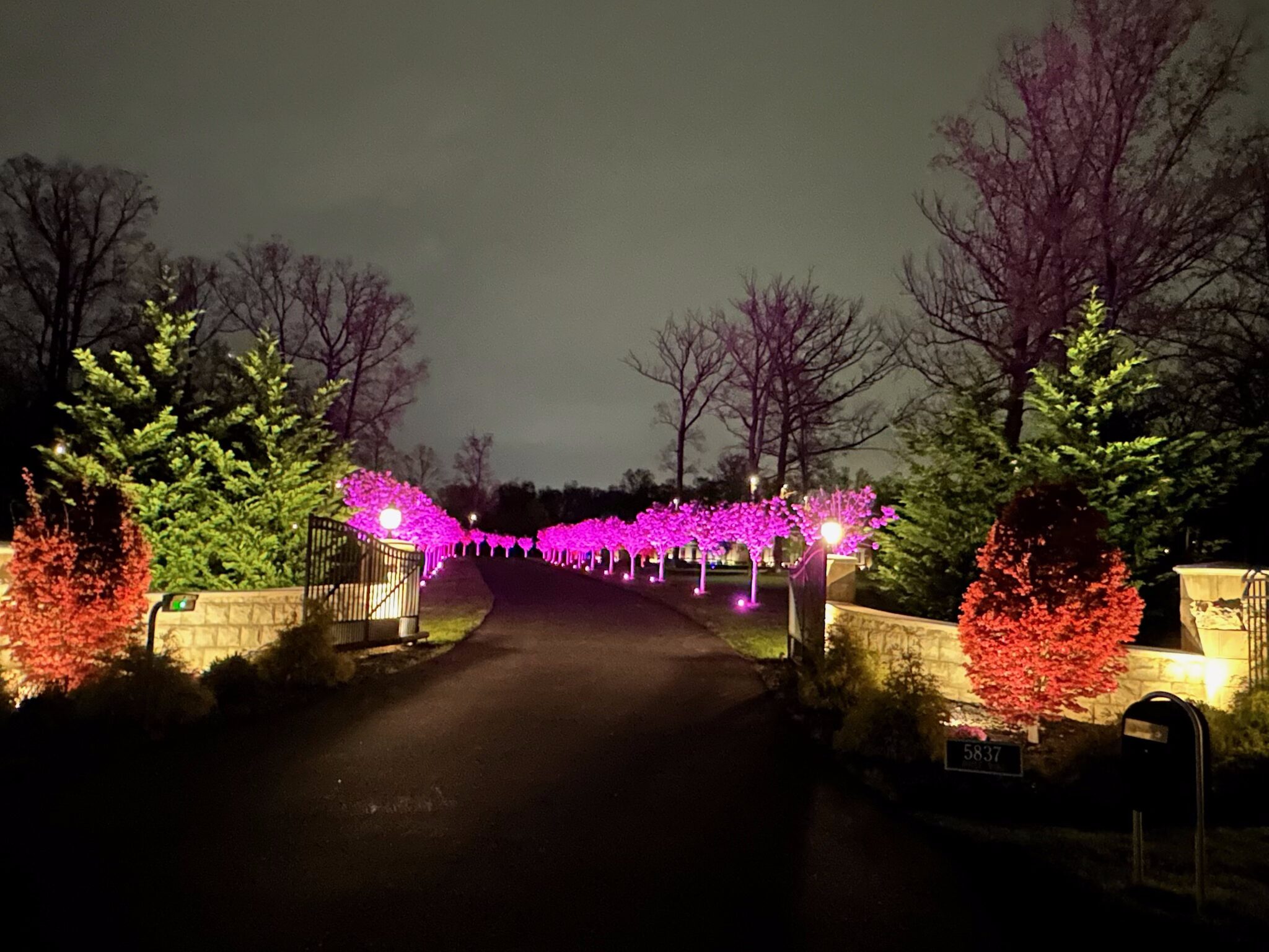 Nupen Lighting showing illuminated pink trees