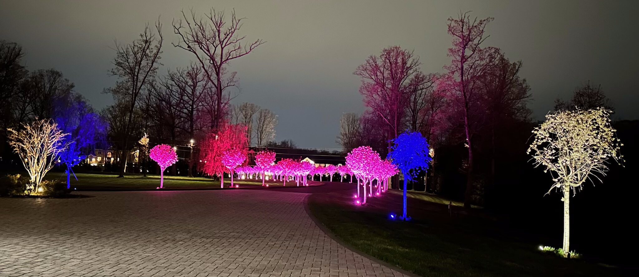 Nupen Lighting showing illuminated pink and blue trees